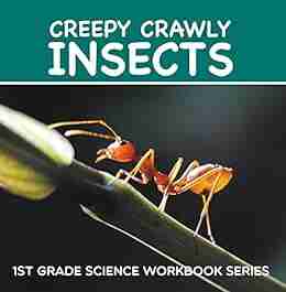 Creepy Crawly Insects : 1st Grade Science Workbook