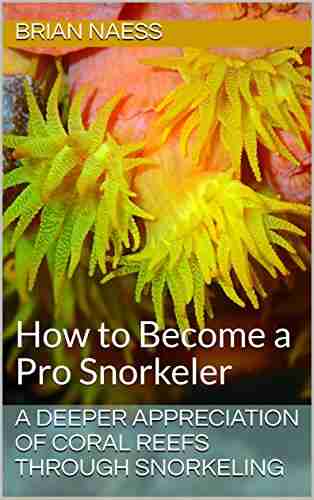 A Deeper Appreciation of Coral Reefs Through Snorkeling: How to Become a Pro Snorkeler