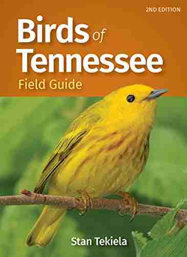 Birds of Tennessee Field Guide (Bird Identification Guides)