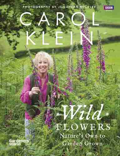 Wild Flowers: Nature s own to garden grown