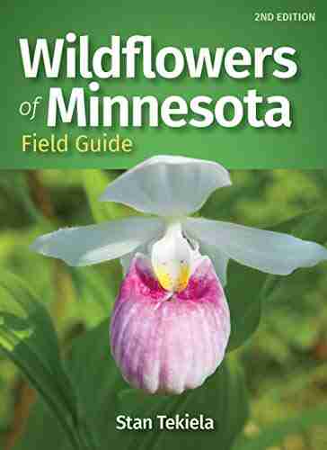 Wildflowers Of Minnesota Field Guide (Wildflower Identification Guides)