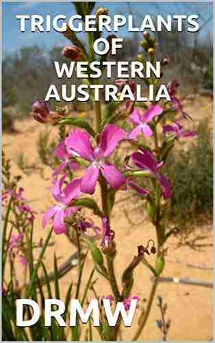 TRIGGERPLANTS OF WESTERN AUSTRALIA DRMW