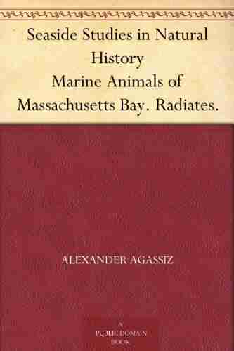 Seaside Studies in Natural History Marine Animals of Massachusetts Bay Radiates