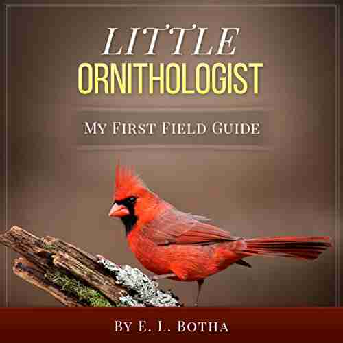 Little Ornithologist (My First Field Guide 1)