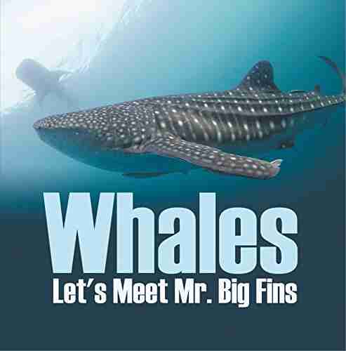 Whales Let s Meet Mr Big Fins: Whales Kids (Children s Fish Marine Life Books)