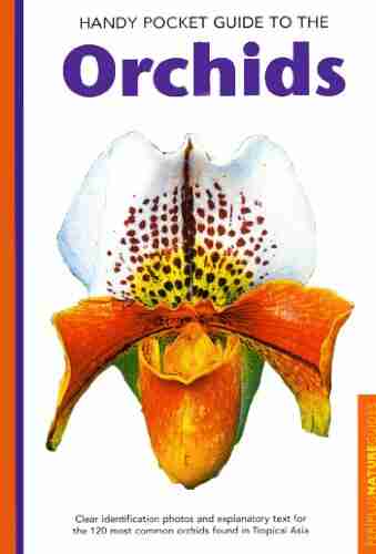 Handy Pocket Guide To Orchids (Handy Pocket Guides)