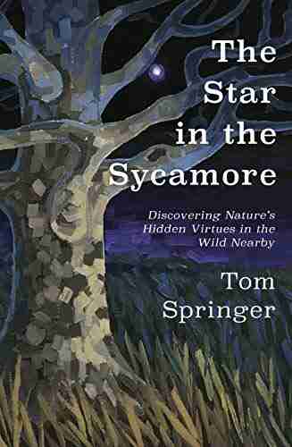 The Star in the Sycamore: Discovering Nature s Hidden Virtues in the Wild Nearby