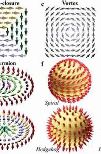 Topological Structures In Ferroic Materials: Domain Walls Vortices And Skyrmions (Springer In Materials Science 228)