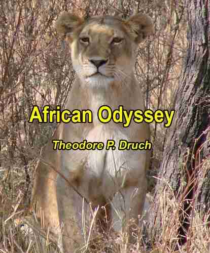 African Odyssey Theodore P Druch