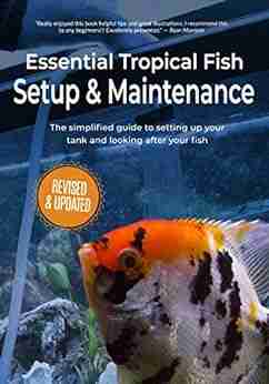 Essential Tropical Fish Setup Maintenance: The Simplified Guide To Setting Up Your Tank And Looking After Your Fish