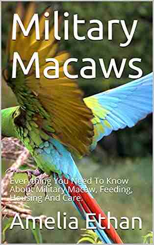 Military Macaws: Everything You Need To Know About Military Macaw Feeding Housing And Care