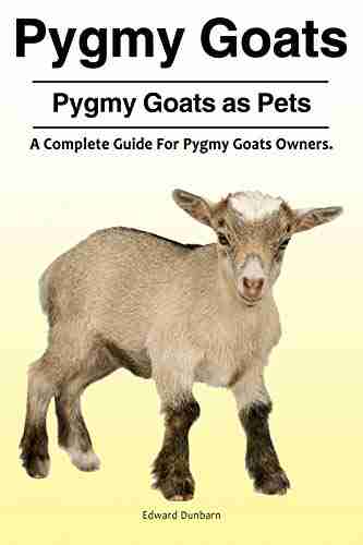 Pygmy Goats Pygmy Goats as Pets: A Complete Guide For Pygmy Goats Owners