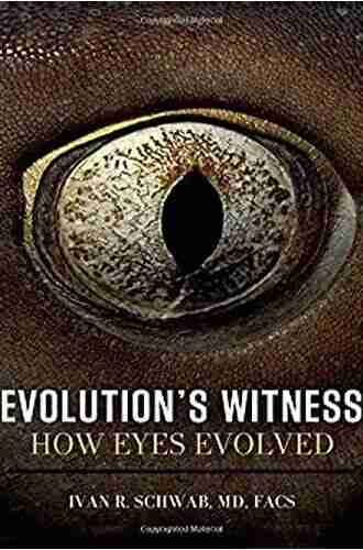 Evolution s Witness: How Eyes Evolved