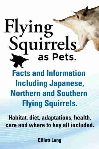 Flying Squirrels as Pets Facts and Information Including Japanese Northern and Southern Flying Squirrels Habitat diet adaptations health care and where to buy all included