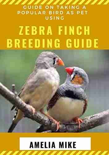 Guide On Taking A Popular Bird As Pet Using Zebra Finch Breeding Guide: For Beginners And Dummies