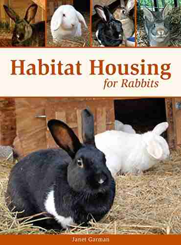 Habitat Housing For Rabbits Janet Garman