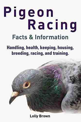 Pigeon Racing: Handling health keeping housing breeding racing and training Facts Information