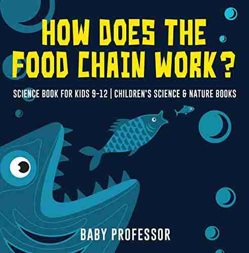 How Does The Food Chain Work? Science For Kids 9 12 Children S Science Nature