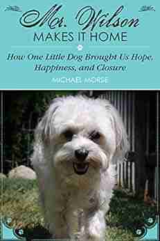 Mr Wilson Makes It Home: How One Little Dog Brought Us Hope Happiness And Closure