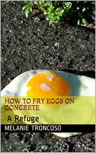 How To Fry Eggs On Concrete: A Refuge