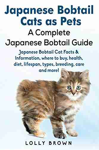 Japanese Bobtail Cats as Pets: Japanese Bobtail Cat Facts Information where to buy health diet lifespan types breeding care and more A Complete Japanese Bobtail Guide