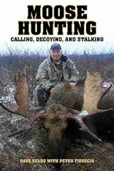 Moose Hunting: Calling Decoying And Stalking