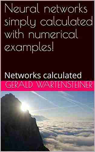 Neural Networks Simply Calculated With Numerical Examples : Networks Calculated