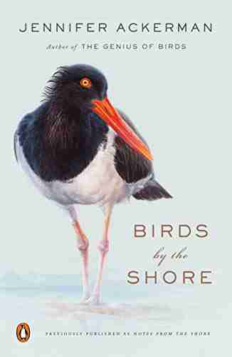 Birds By The Shore: Observing The Natural Life Of The Atlantic Coast