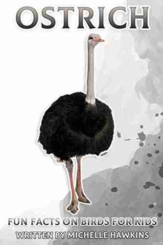 Ostrich: Fun Facts On Birds For Kids #20