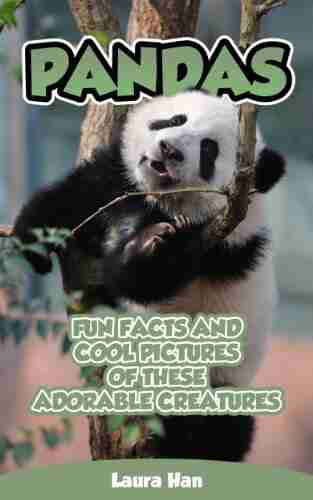 Pandas Fun Facts And Cool Pictures Of These Adorable Creatures