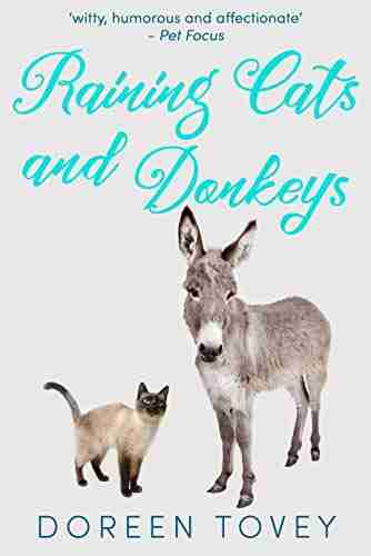 Raining Cats And Donkeys (Feline Frolics 4)