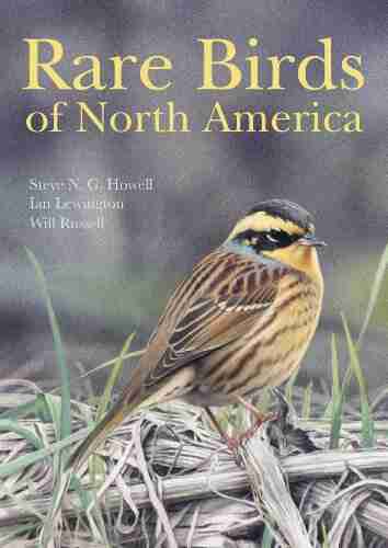 Rare Birds Of North America