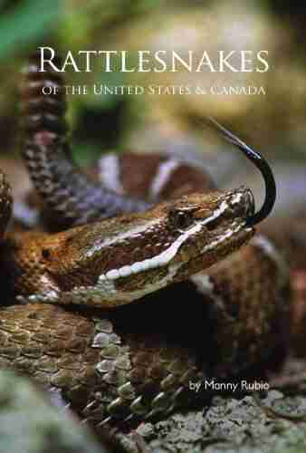 Rattlesnakes Of The United States And Canada