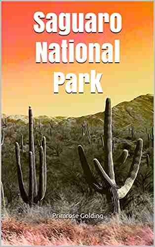 Saguaro National Park April Lang LCSW SEP