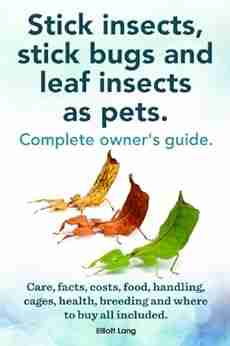 Stick Insects Stick Bugs And Leaf Insects As Pets Stick Insects Care Facts Costs Food Handling Cages Health Breeding And Where To Buy All Included