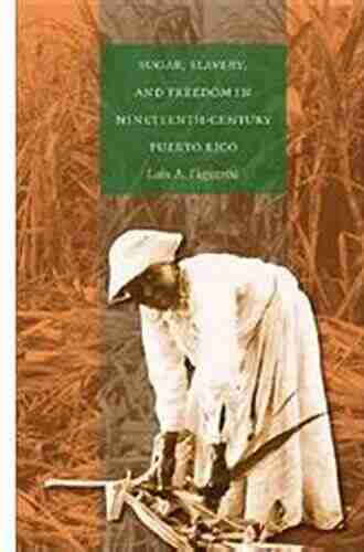 Sugar Slavery and Freedom in Nineteenth Century Puerto Rico