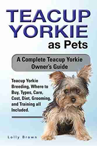 Teacup Yorkie as Pets: Teacup Yorkie Breeding Where to Buy Types Care Cost Diet Grooming and Training all Included A Complete Teacup Yorkie Owner s Guide