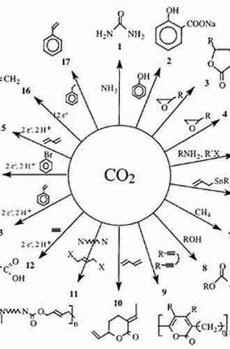 Chemical Transformations Of Carbon Dioxide (Topics In Current Chemistry Collections)