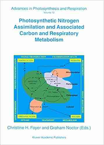 Photosynthetic Nitrogen Assimilation and Associated Carbon and Respiratory Metabolism (Advances in Photosynthesis and Respiration 12)