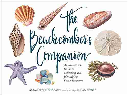 The Beachcomber S Companion: An Illustrated Guide To Collecting And Identifying Beach Treasures