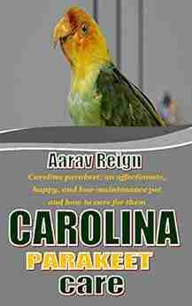 CAROLINA PARAKEET CARE: Carolina parakeet an affectionate happy and low maintenance pet and how to care for them