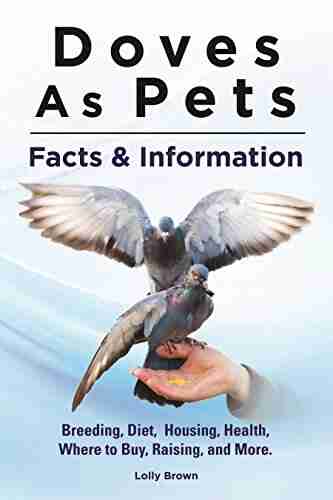 Doves As Pets: Breeding Diet Housing Health Where to Buy Raising and More Facts Information