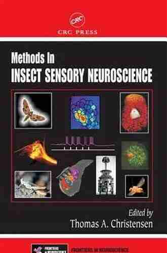 Methods in Insect Sensory Neuroscience (Frontiers in Neuroscience)