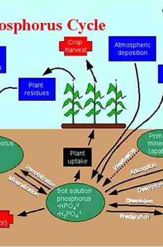 Phosphorus in Action: Biological Processes in Soil Phosphorus Cycling (Soil Biology 26)