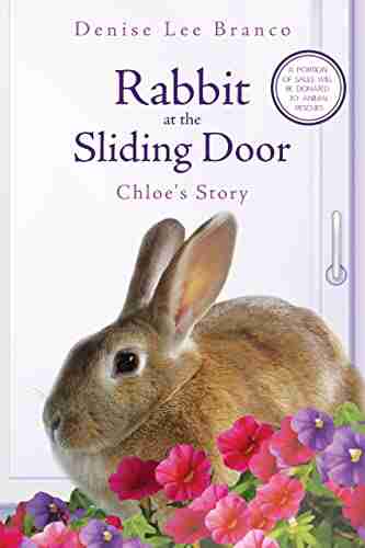 Rabbit at the Sliding Door: Chloe s Story