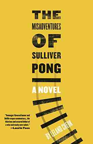 The Misadventures Of Sulliver Pong