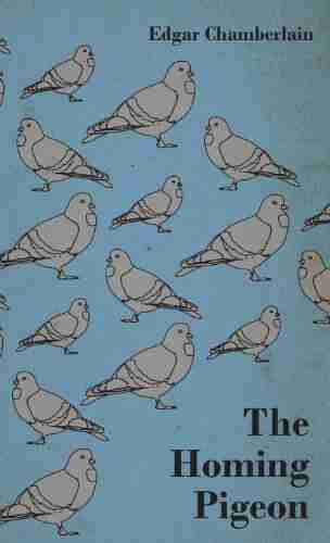 The Homing Pigeon Ariel Sacks