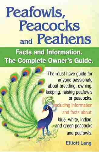 Peafowls Peacocks and Peahens Including facts and information about blue white Indian and green peacocks Breeding owning keeping and raising peafowls or peacocks covered