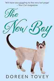 The New Boy (Feline Frolics 5)