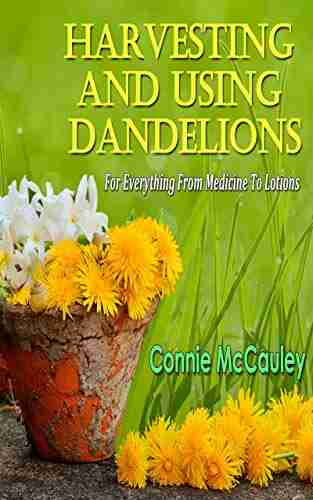 Harvesting And Using Dandelions: For Everything From Medicine To Lotions